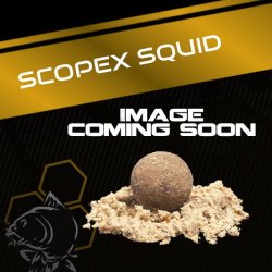 NASH Scopex Squid Stick Mix 2024